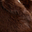 Faux Fur Statement Jacket