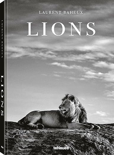 Lions - Laurent Baheux