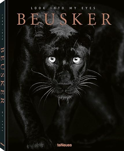 Beusker: Look Into My Eyes