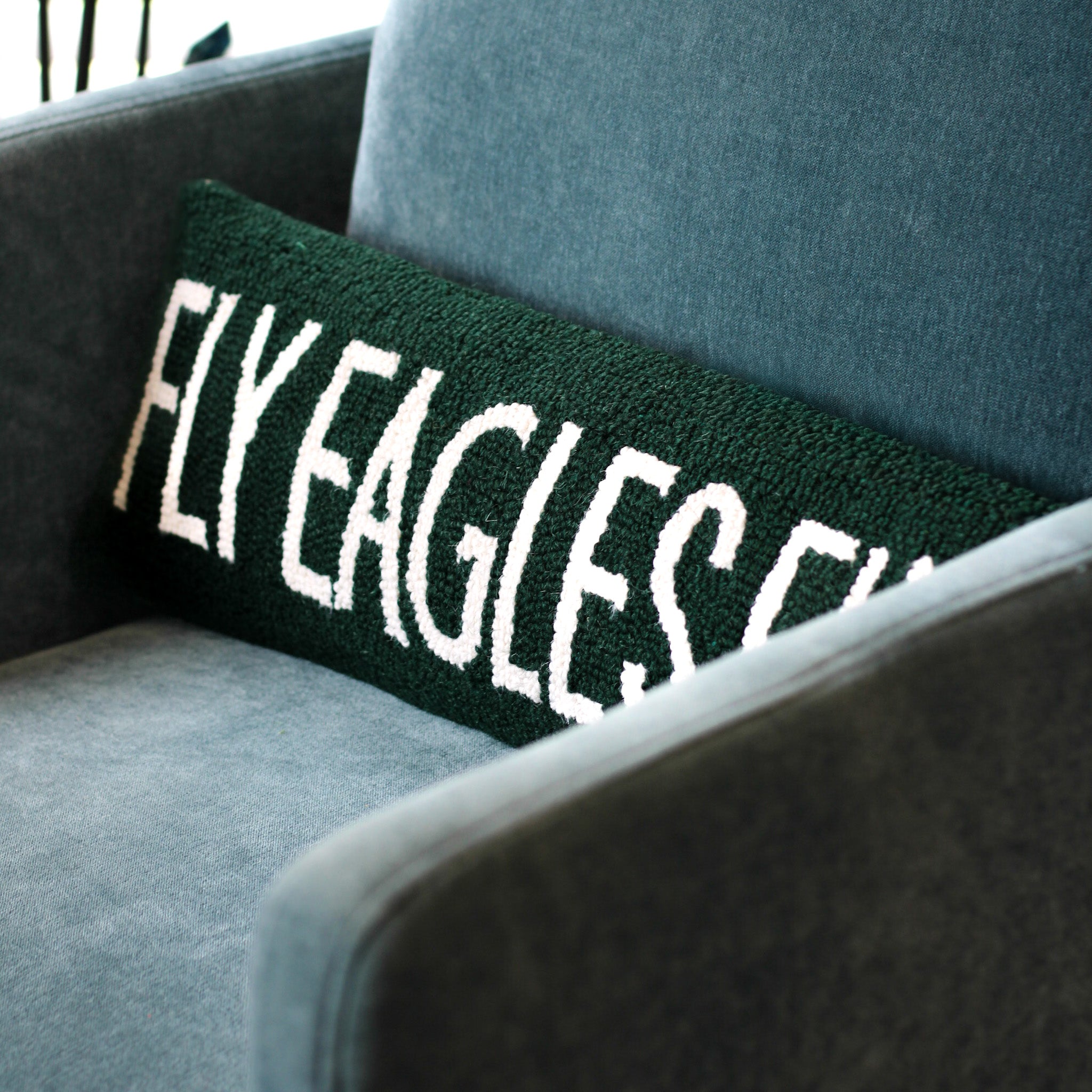 Kramer Drive Fly Eagles Fly Hook Pillow
