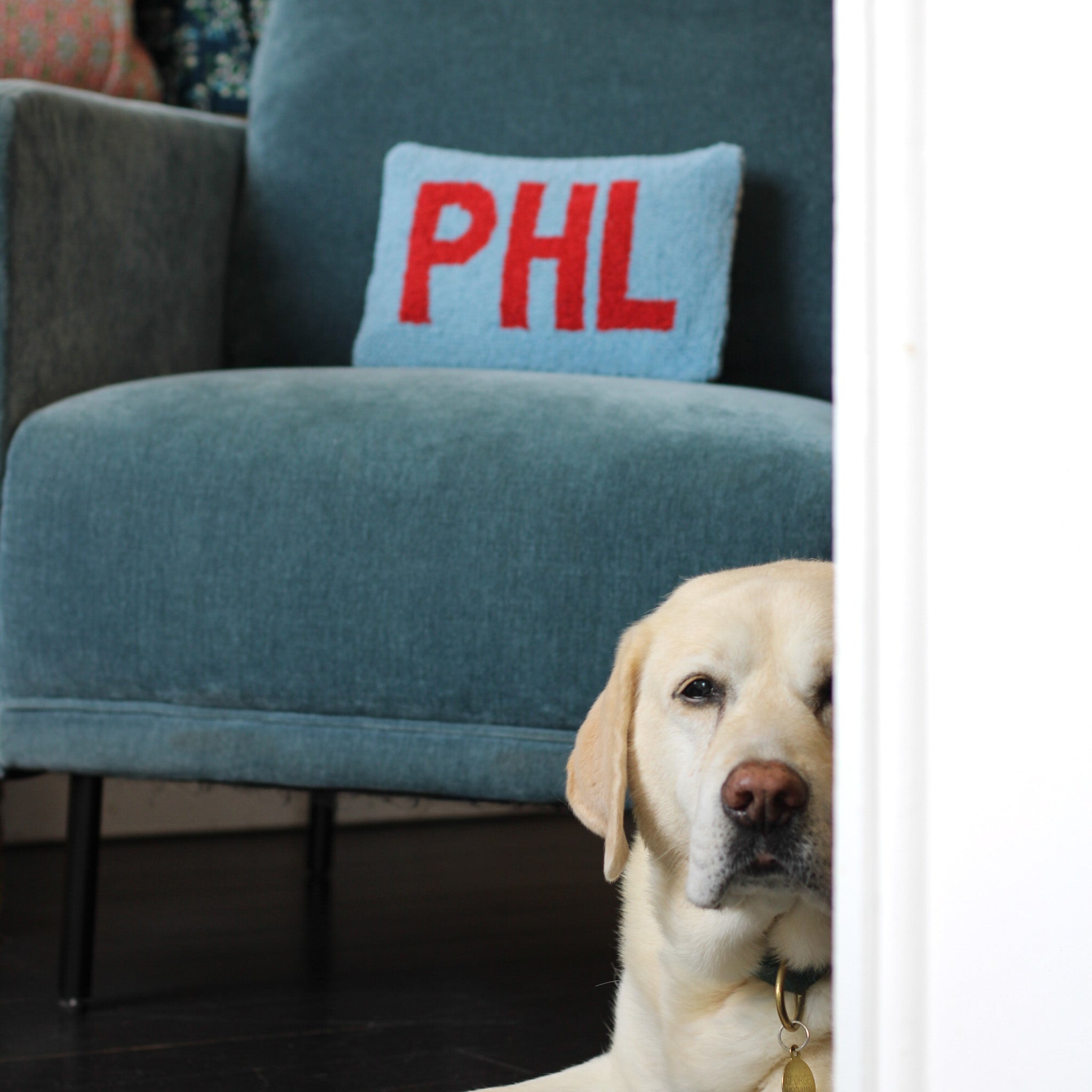 PHL Hook Pillow