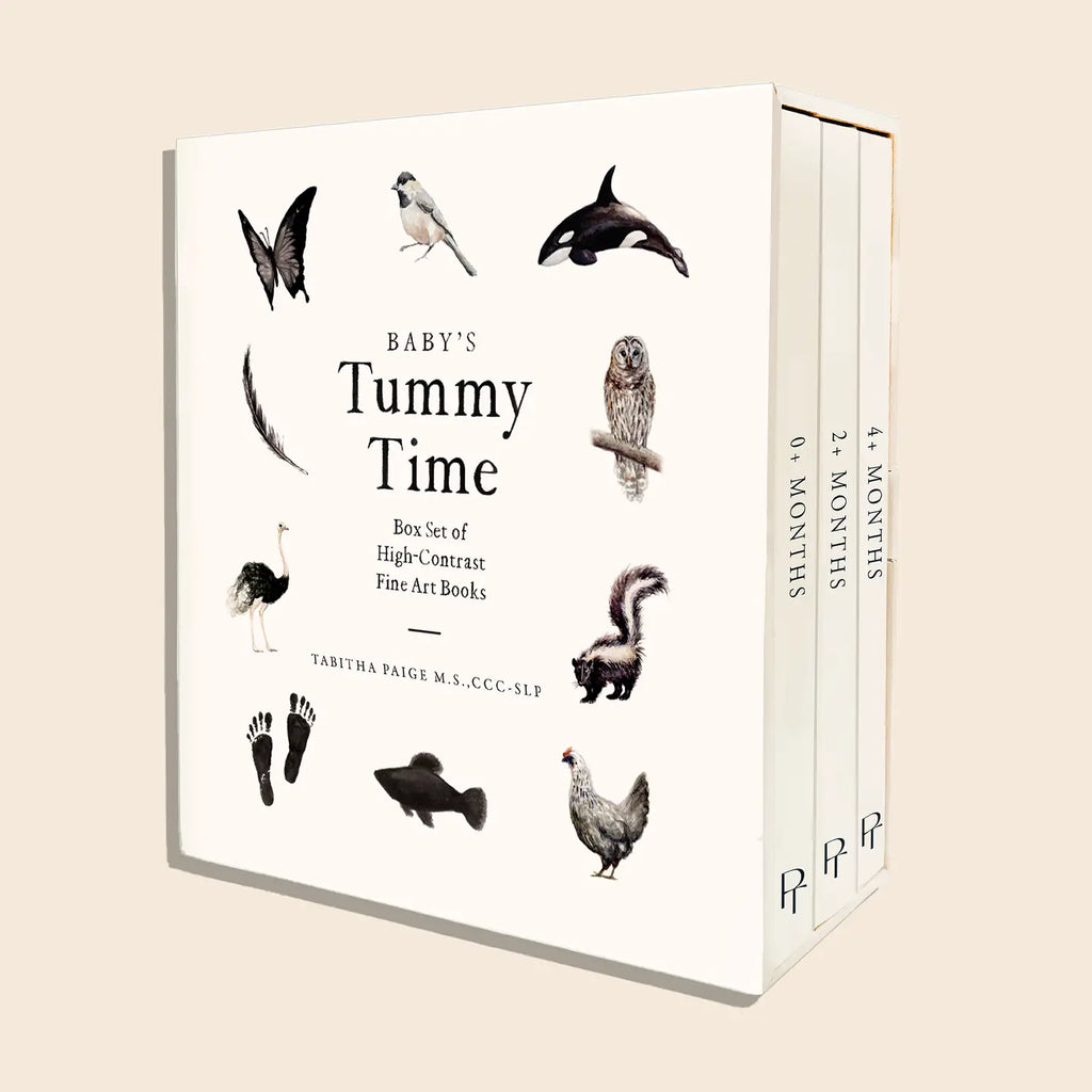 Baby's Tummy Time Box Set showing three board books with high-contrast illustrations of animals including butterfly, bird, o…