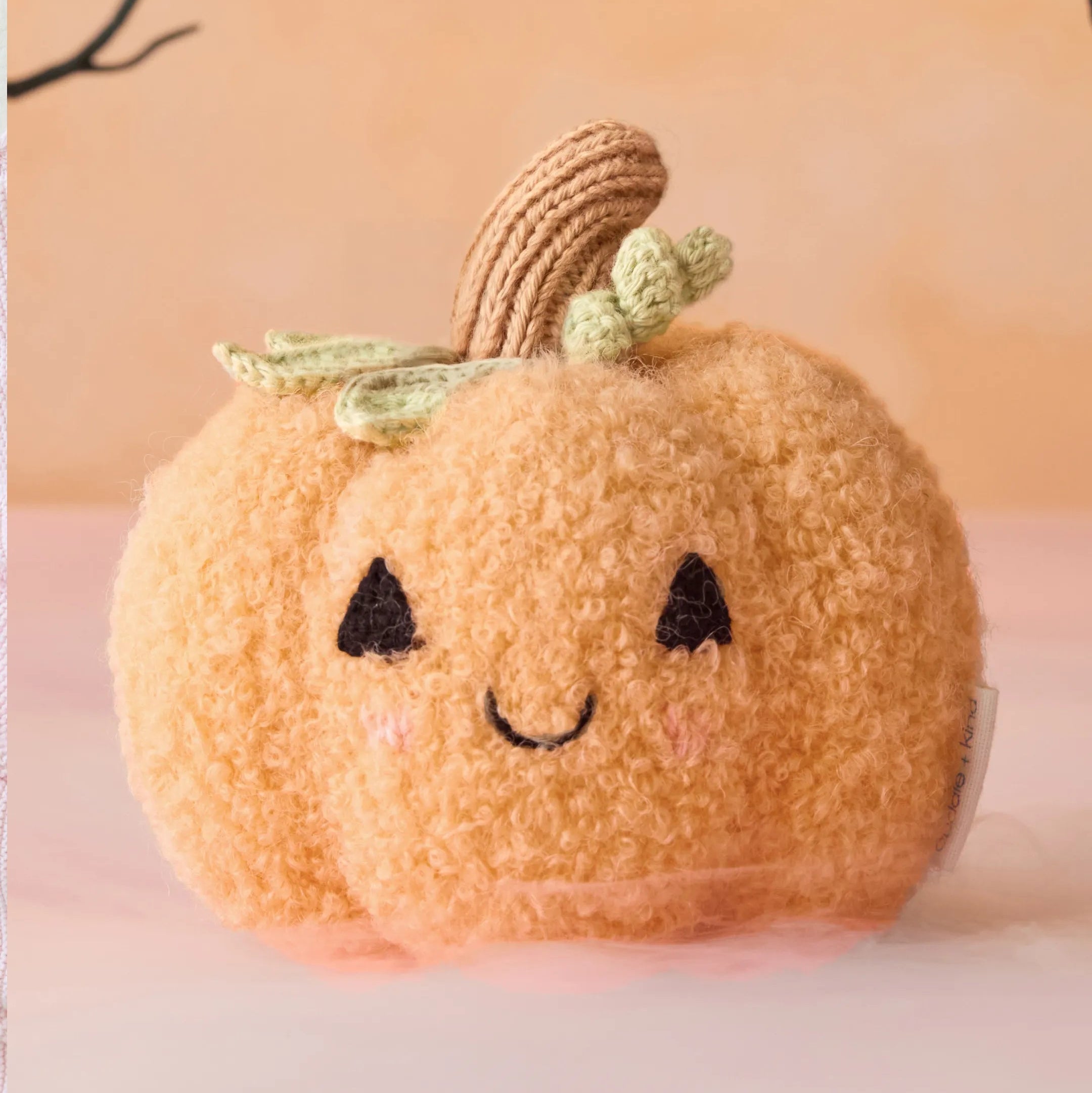 Baby Pumpkin Secondary image