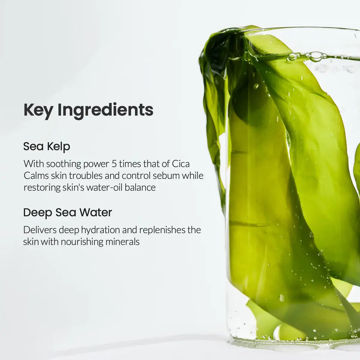 BIODANCE Refreshing Sea Kelp Real Deep Face Sheet Mask