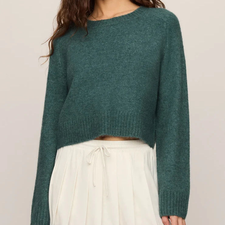 Z Supply Stand In Sweater