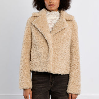 Teddy Collared Jacket