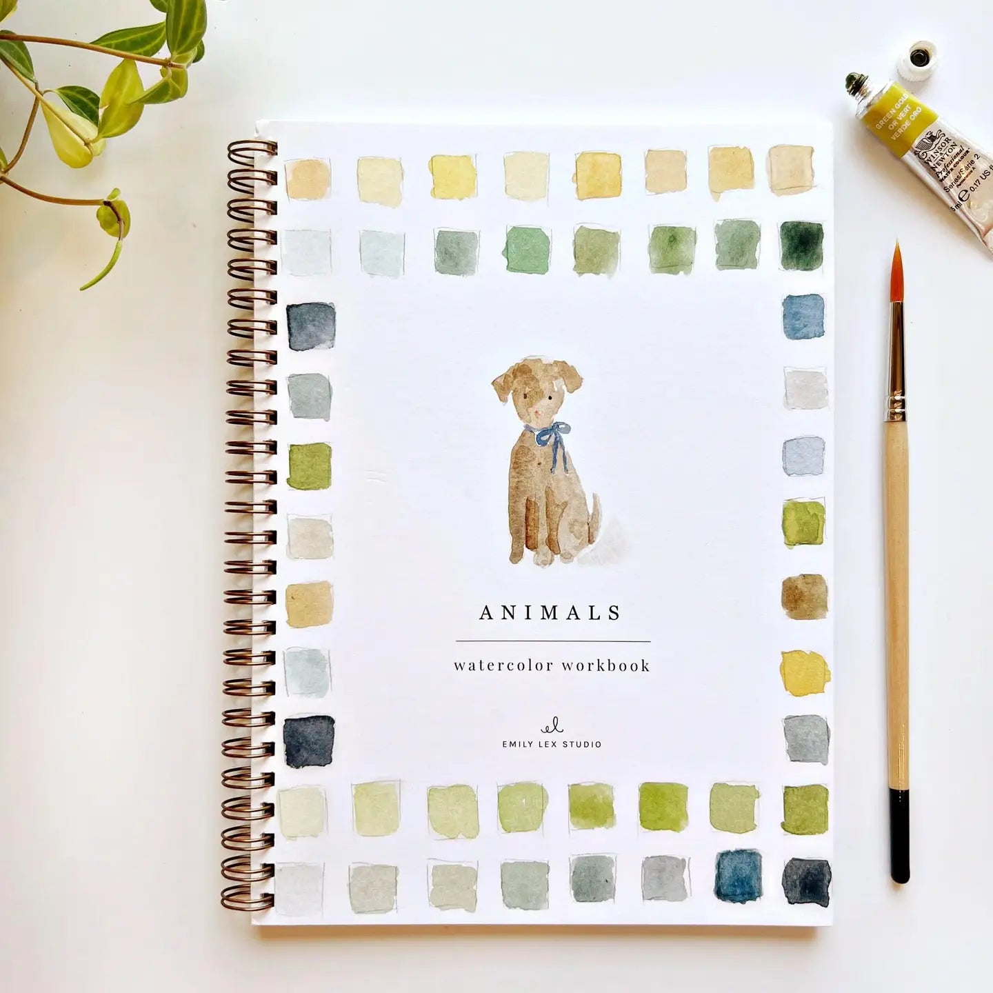 Emily Lex Watercolor Workbook Main image