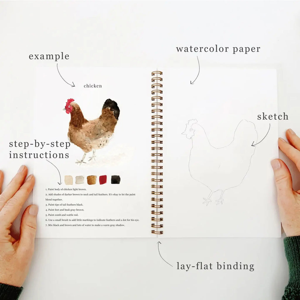 Emily Lex Watercolor Workbook