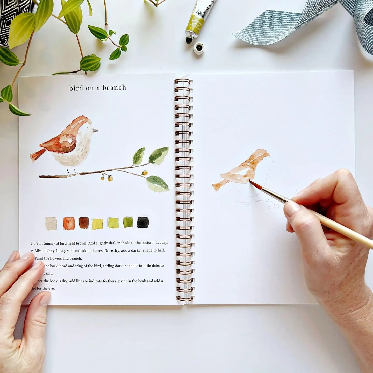 Emily Lex Watercolor Workbook